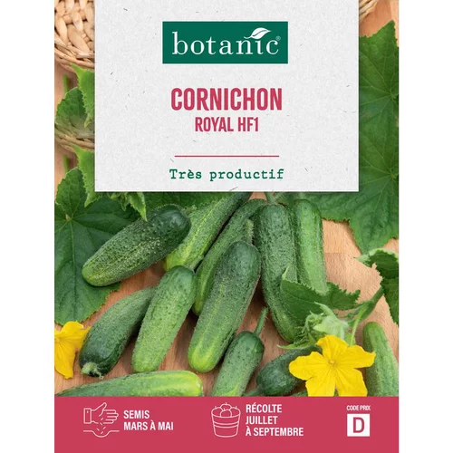 Graines de cornichon royal HF1 botanic® - graines à semer