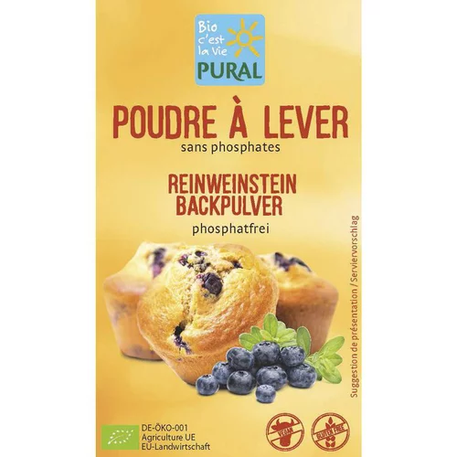 Poudre à lever sans phosphate 3x21 g