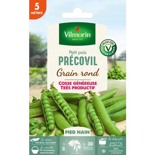Graines de pois nain Precovil Vilmorin 5 mètres - graines à semer