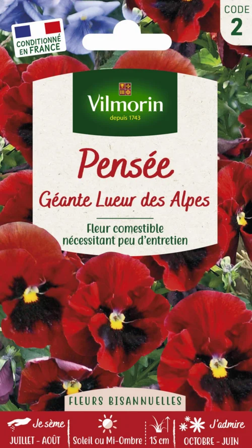 Graines de Pensée géante Lueur des Alpes Vilmorin - graines à semer