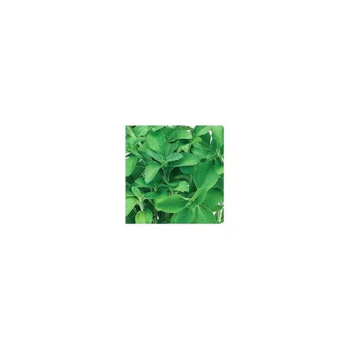 Stevia Bio. Le pot de 1 litre